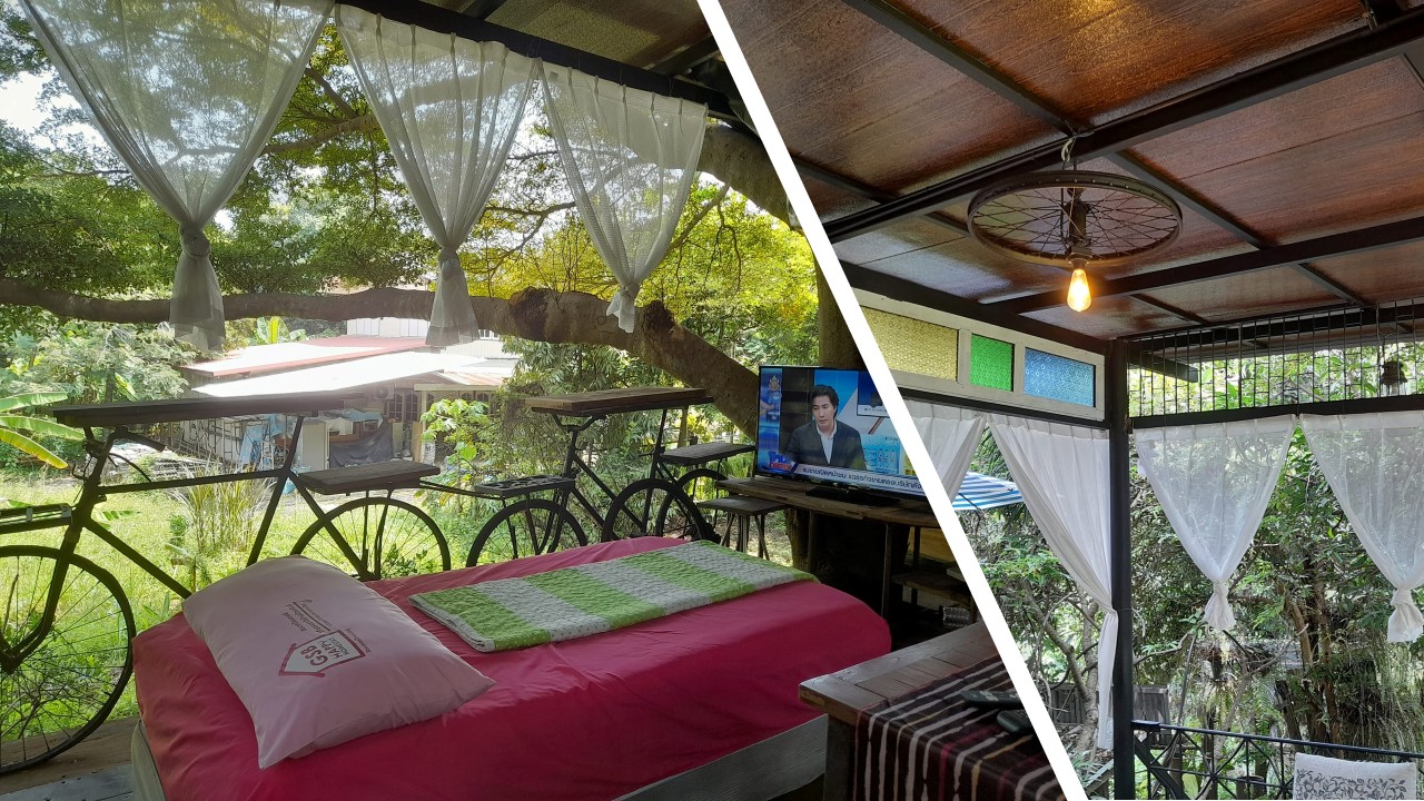 บ้านต้นไม้