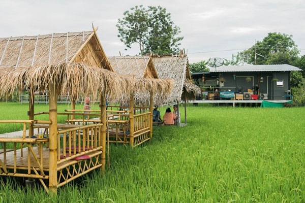 ที่พักและร้านอาหาร