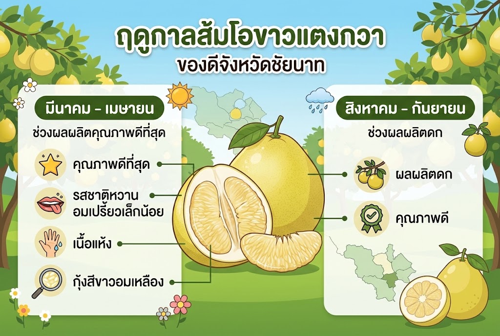 เลือกซื้อส้มโอช่วงไหนดี...