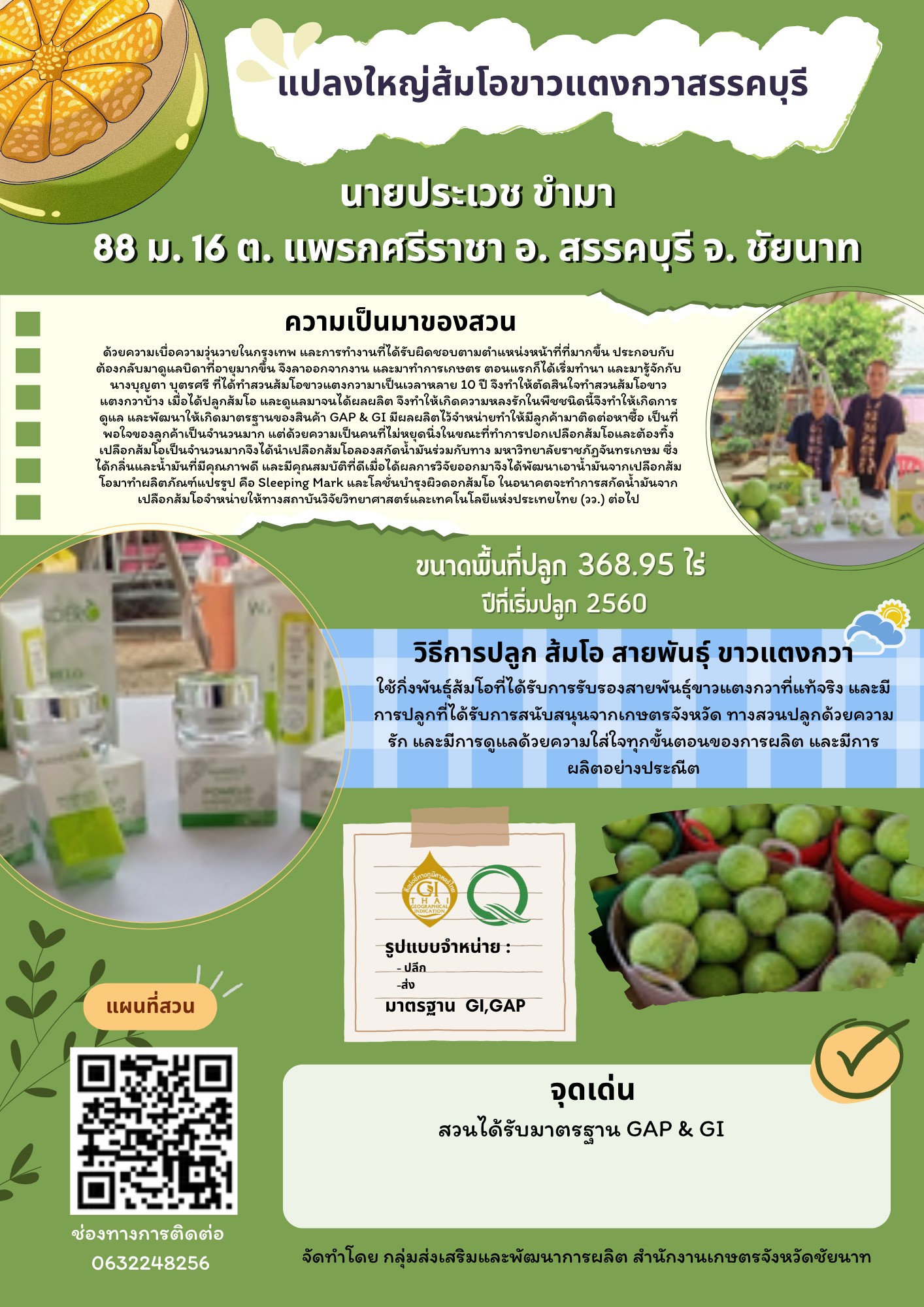 แปลงใหญ่ส้มโอขาวแตงกวาสรรคบุรี (ส้มโอขาวแตงกวา : ผลไม้ GI ของดีประจำจังหวัดชัยนาท)