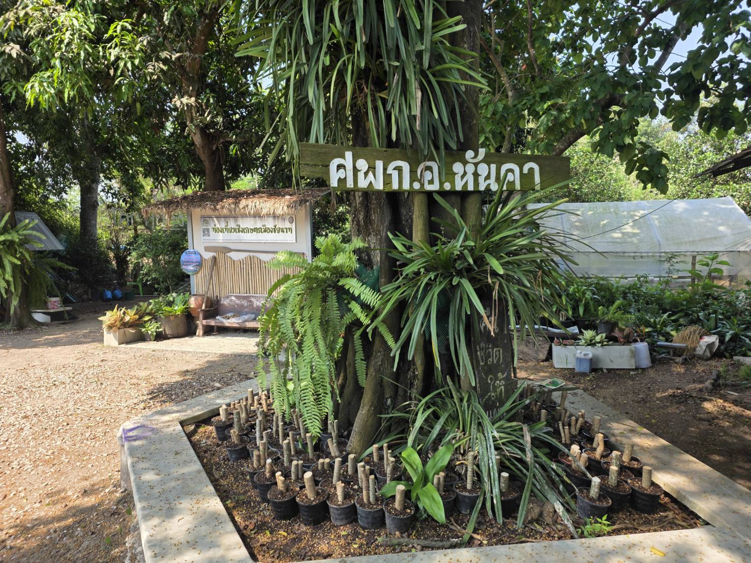 ศพก.หันคา