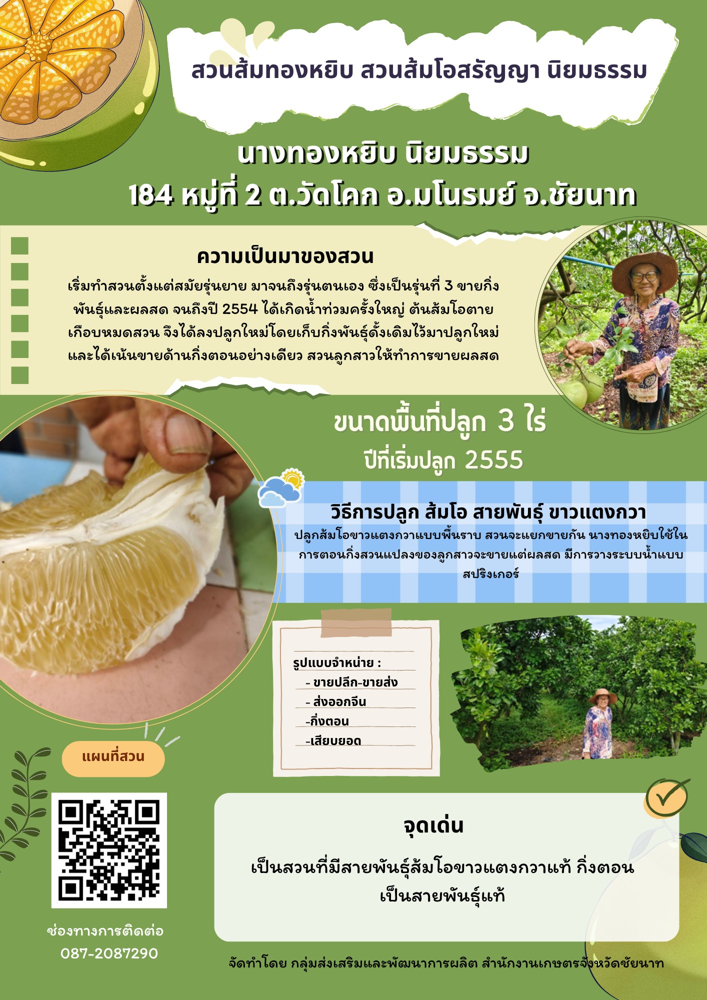 สวนส้มทองหยิบ สวนส้มโอสรัญญา นิยมธรรม (ส้มโอขาวแตงกวา : ผลไม้ GI ของดีประจำจังหวัดชัยนาท)