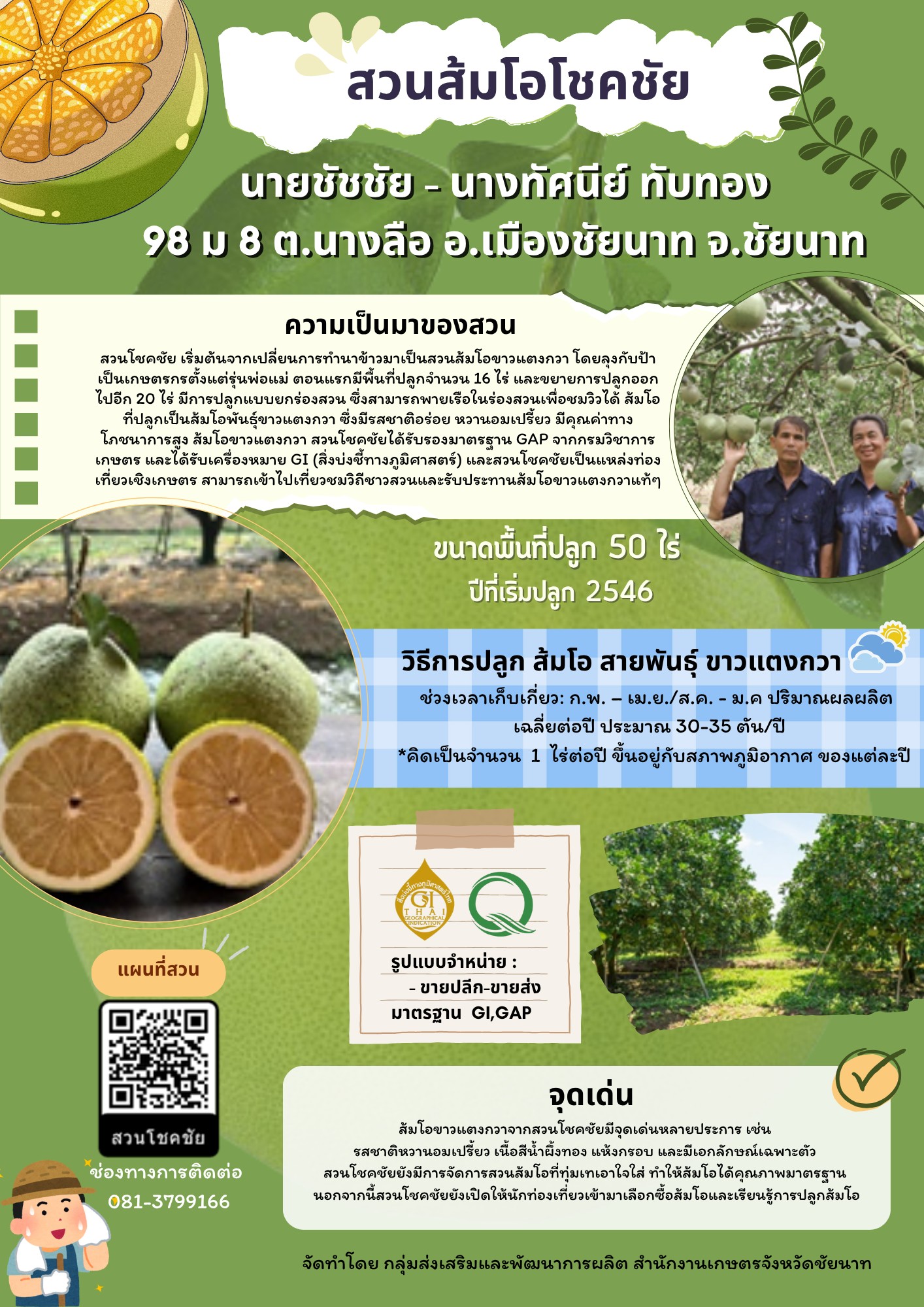 สวนส้มโอโชคชัย (ส้มโอขาวแตงกวา : ผลไม้ GI ของดีประจำจังหวัดชัยนาท)